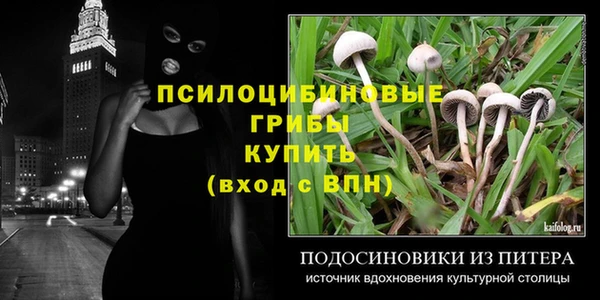 мяу мяу мука Краснослободск