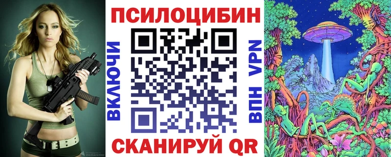 Псилоцибиновые грибы MAGIC MUSHROOMS  где можно купить   Суздаль 