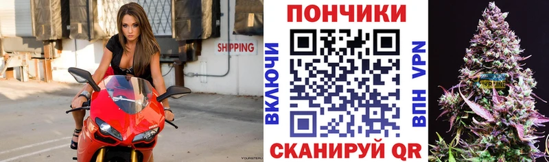 цены наркотик  Суздаль  Бошки Шишки OG Kush 